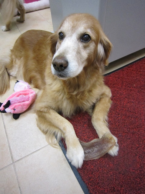 ファイル 1471-2.jpg