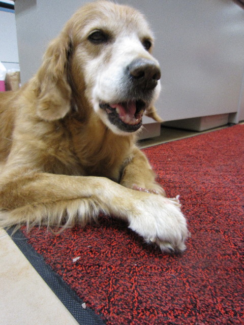 ファイル 1471-4.jpg