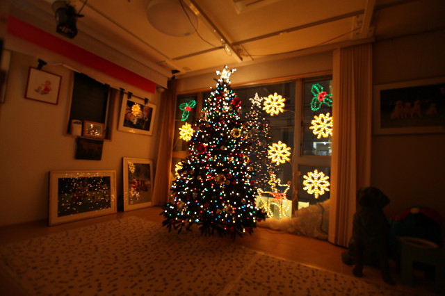 ファイル 1472-4.jpg