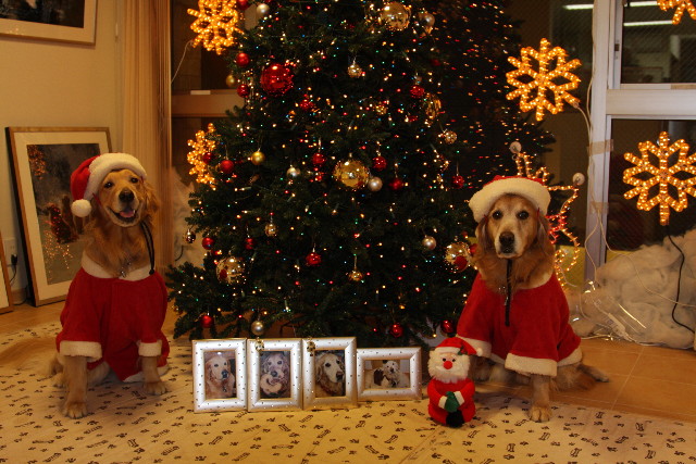 ファイル 1473-3.jpg