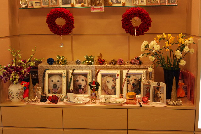 ファイル 1473-5.jpg