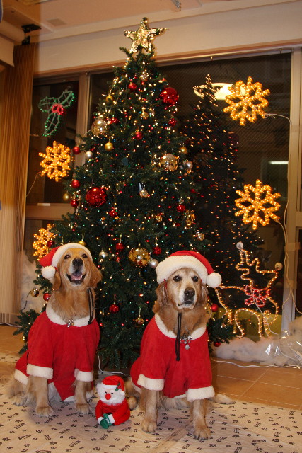 ファイル 1474-1.jpg