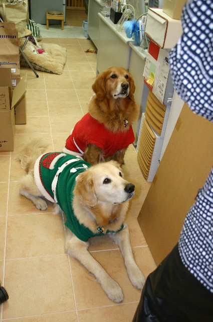 ファイル 1475-5.jpg