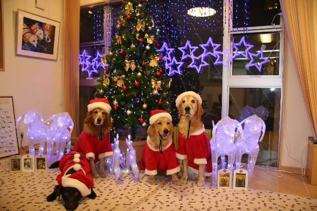 ファイル 1476-3.jpg