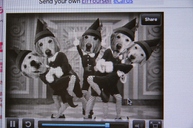 ファイル 1478-5.jpg