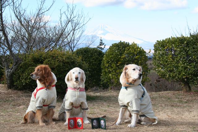 ファイル 148-4.jpg