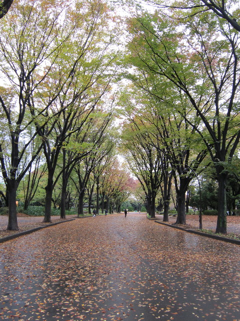 ファイル 1480-1.jpg