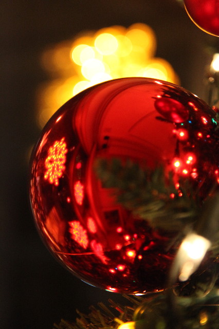 ファイル 1481-5.jpg