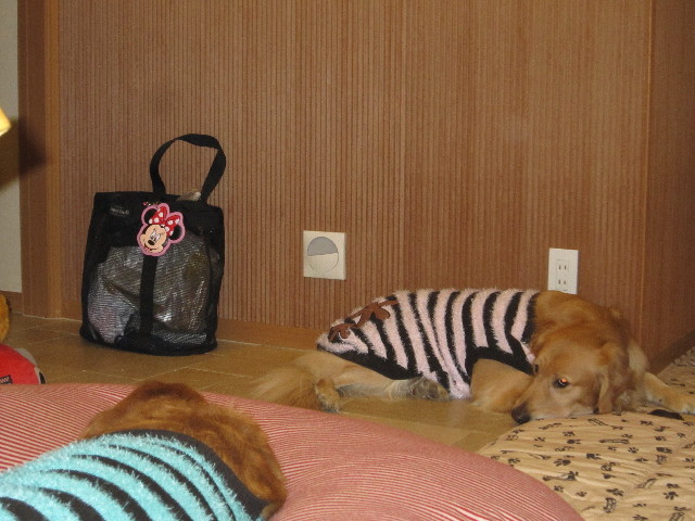 ファイル 1483-4.jpg