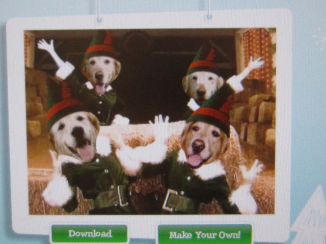 ファイル 1486-2.jpg