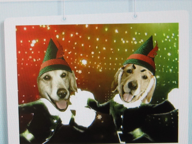 ファイル 1487-4.jpg