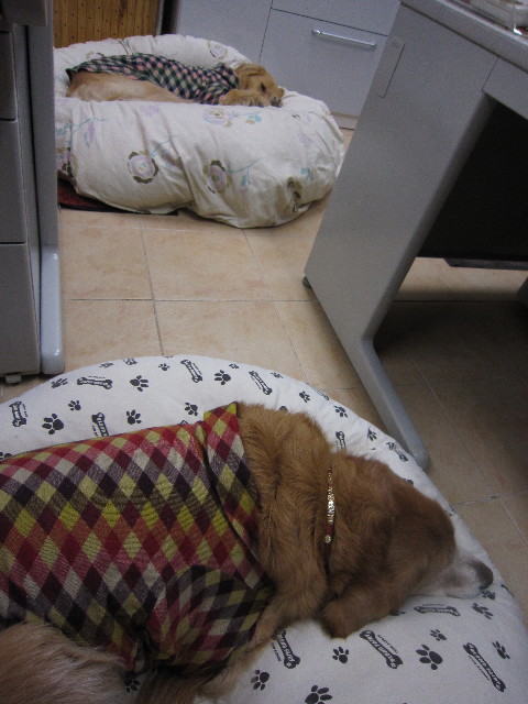 ファイル 1491-5.jpg