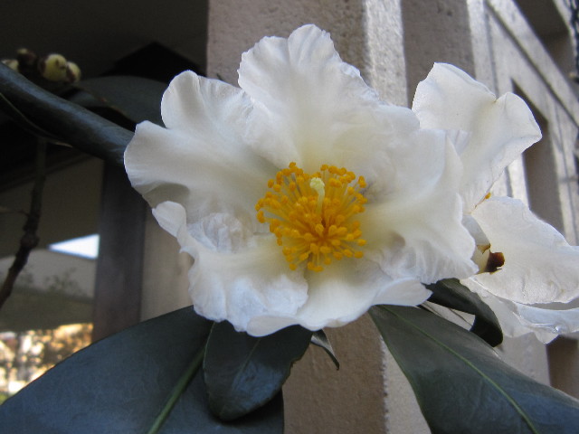 ファイル 1496-4.jpg