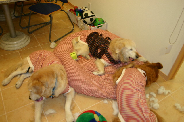 ファイル 1497-3.jpg