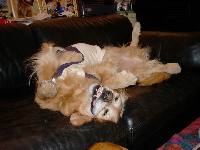 ファイル 1497-5.jpg