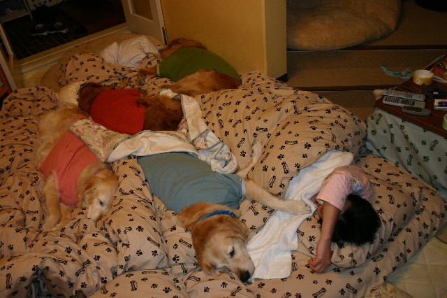 ファイル 1499-5.jpg