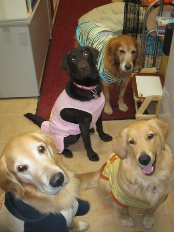 ファイル 150-1.jpg