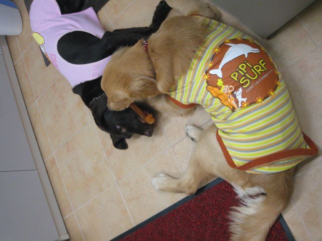 ファイル 150-3.jpg