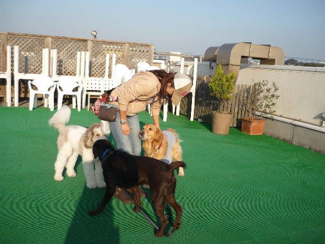 ファイル 1500-4.jpg