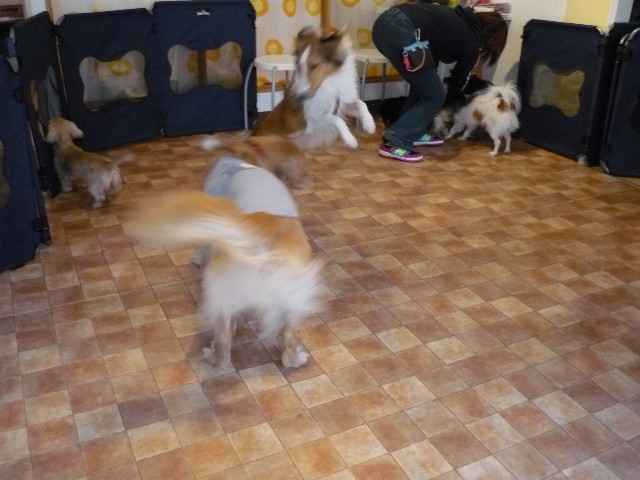 ファイル 1501-3.jpg