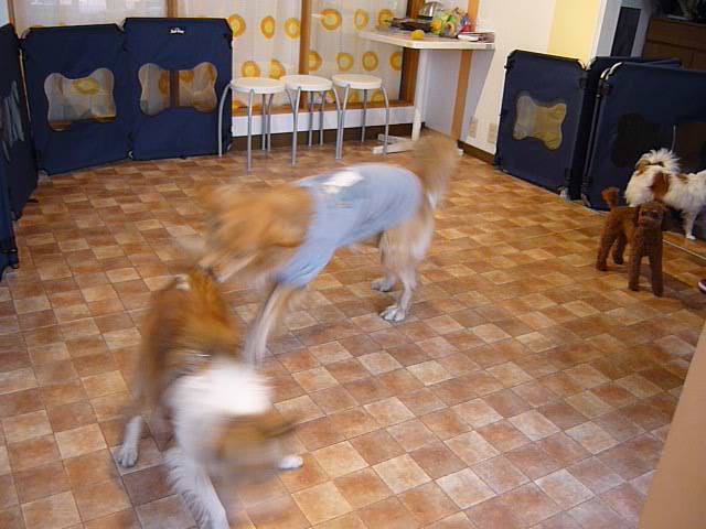 ファイル 1501-5.jpg