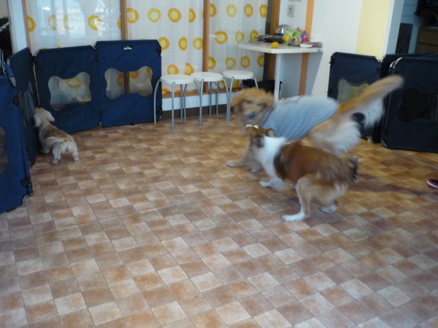 ファイル 1502-2.jpg