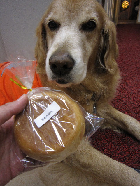 ファイル 1502-4.jpg