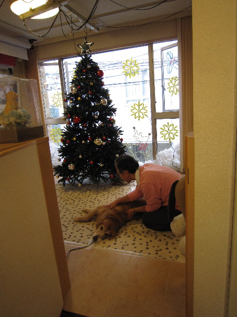 ファイル 1503-1.jpg