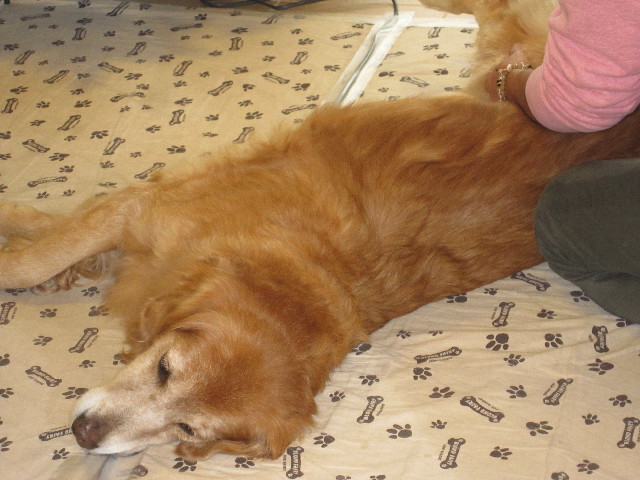 ファイル 1503-2.jpg