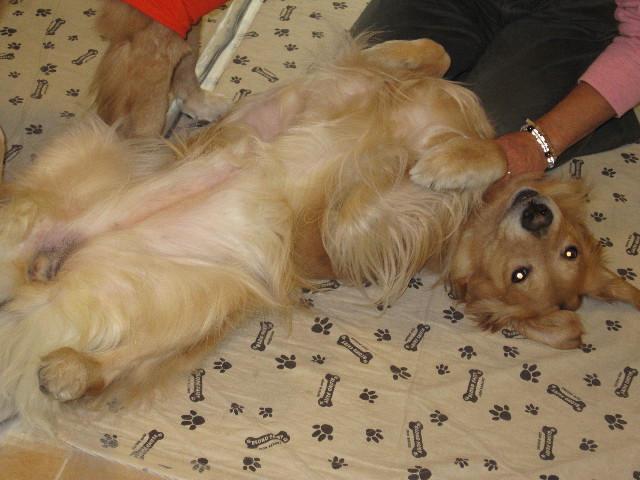 ファイル 1503-4.jpg