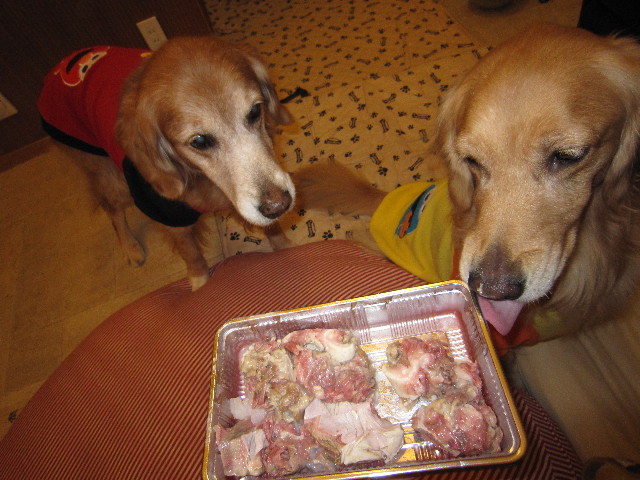 ファイル 1506-5.jpg