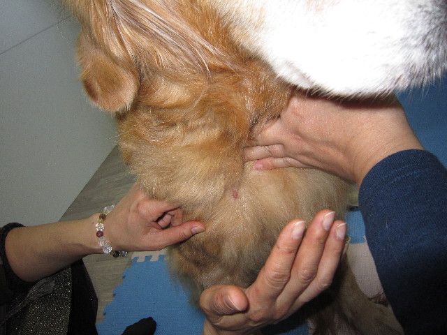 ファイル 1507-2.jpg