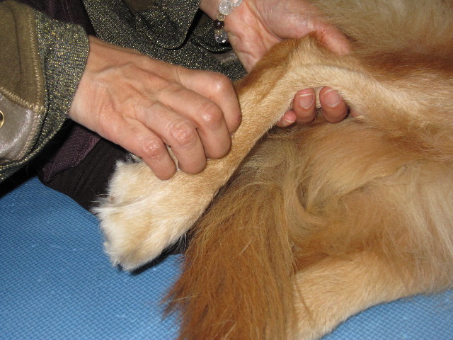 ファイル 1507-5.jpg