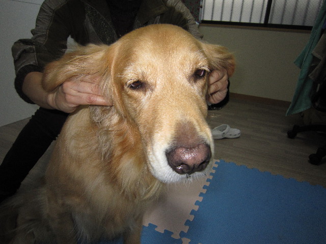 ファイル 1508-1.jpg