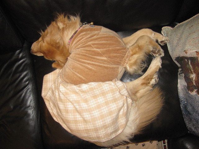 ファイル 1509-3.jpg