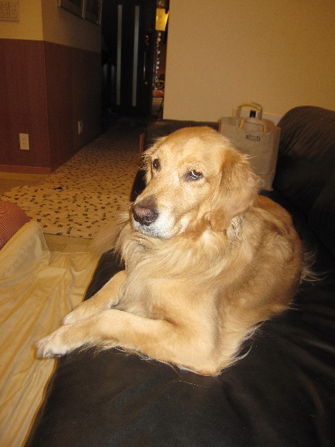 ファイル 1509-4.jpg