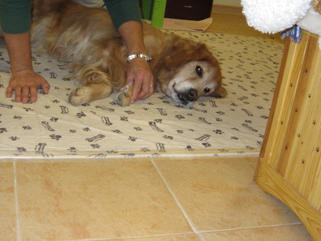 ファイル 1510-1.jpg