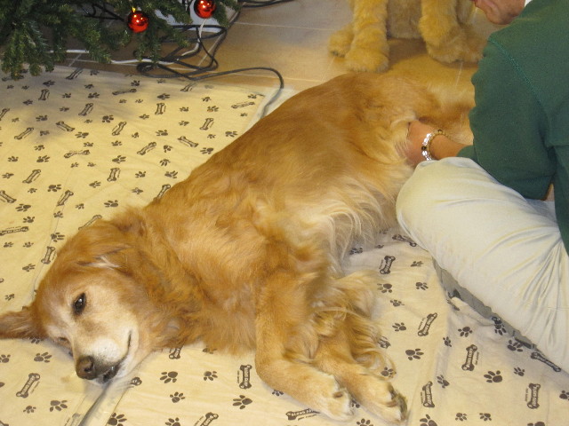 ファイル 1510-2.jpg