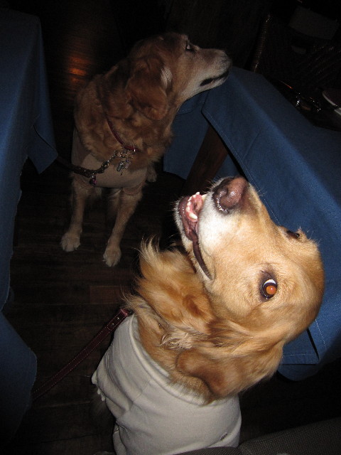 ファイル 1510-4.jpg