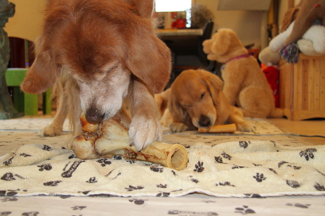 ファイル 1511-3.jpg