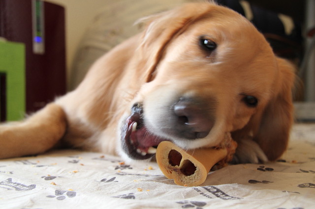 ファイル 1511-4.jpg