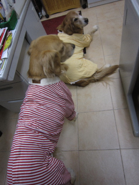 ファイル 1512-5.jpg