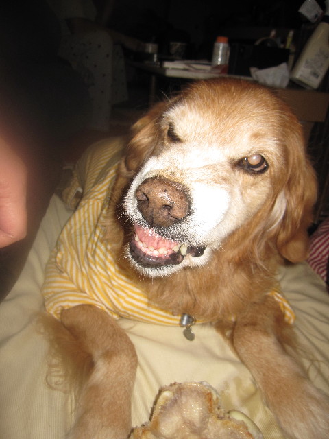 ファイル 1514-1.jpg