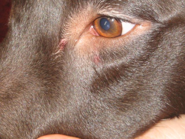 ファイル 152-4.jpg