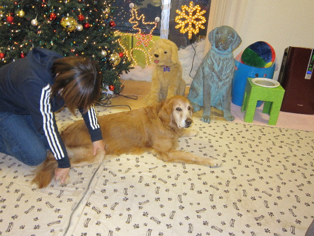 ファイル 1520-5.jpg