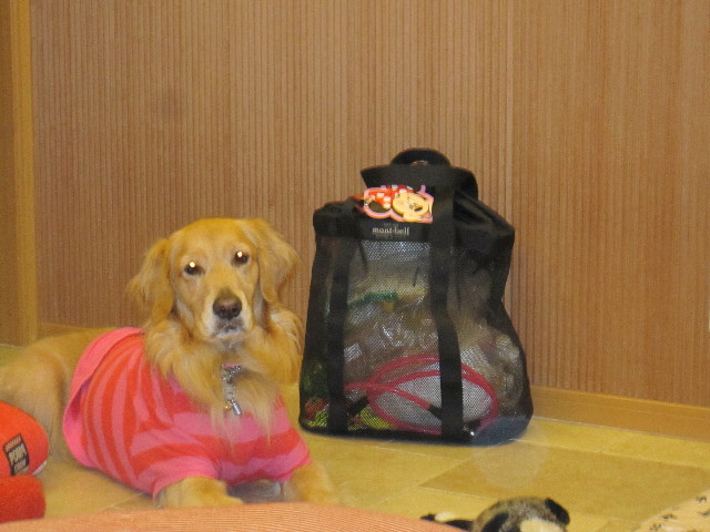 ファイル 1522-1.jpg