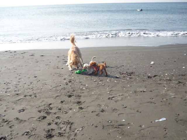 ファイル 1522-3.jpg