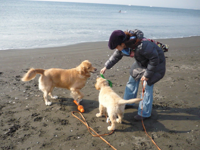 ファイル 1522-4.jpg