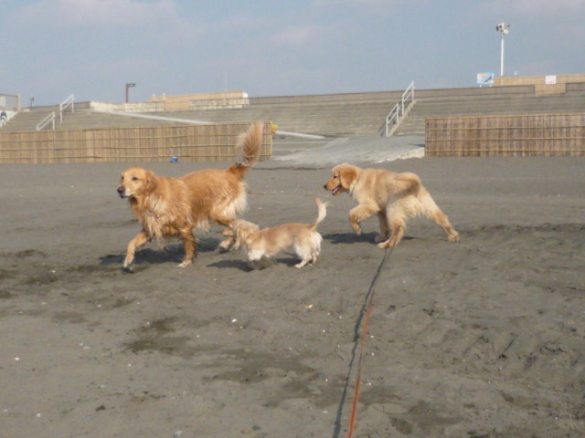 ファイル 1523-1.jpg