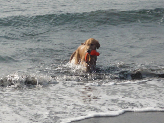 ファイル 1523-3.jpg